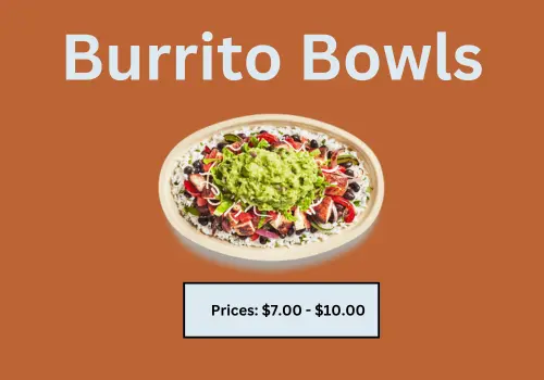 Burrito Bowl